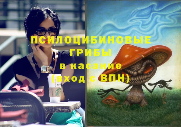 сатива Заволжье