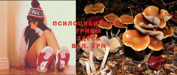 гашишное масло Заводоуковск