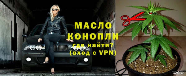 сатива Заволжье