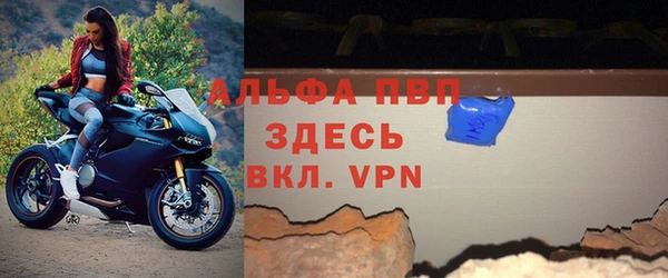 сатива Заволжье