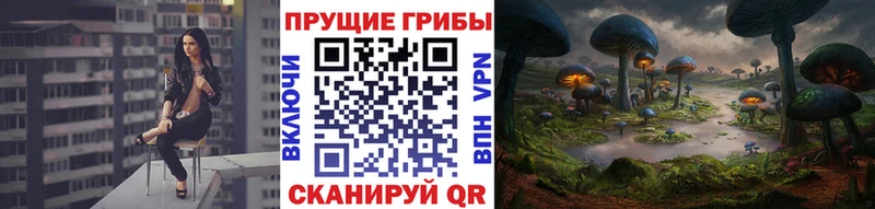 Купить закладки  Ярославль  Галлюциногенные грибы прущие грибы 